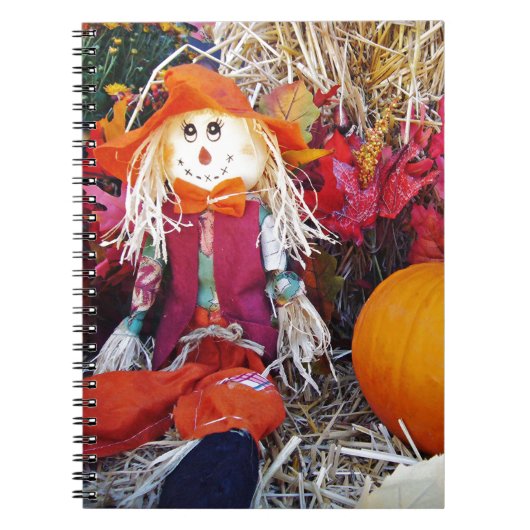 Little Mister Scarecrow Notitieboek (Voorkant)