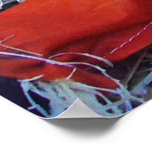 Little Mister Scarecrow Poster (Hoek)