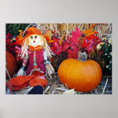 Little Mister Scarecrow Poster (Voorkant)