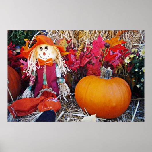 Little Mister Scarecrow Poster (Voorkant)