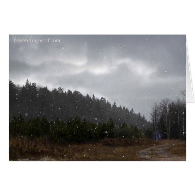 Little Mountain Shack (Voorkant Horizontaal)