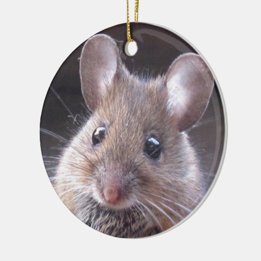 Little Mouse Ornament (Links)