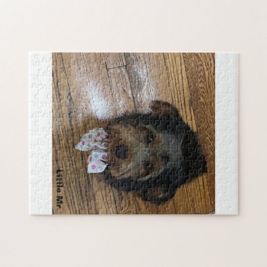 Little Mr. Legpuzzel (Horizontaal)