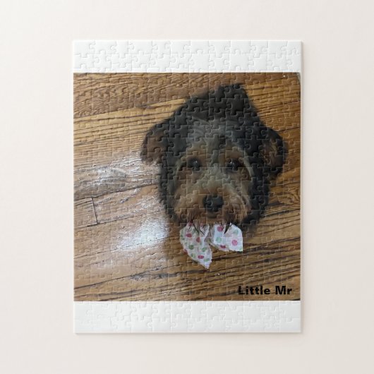 Little Mr. Legpuzzel (Verticaal)