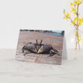 Little Mud Crab Kaart (Gele Bloem)