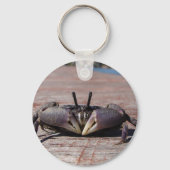 Little Mud Crab Sleutelhanger (Voorkant)