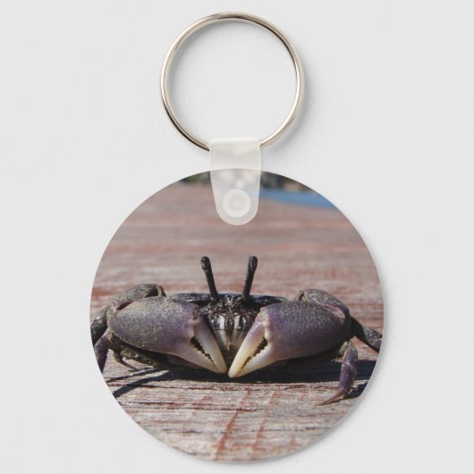 Little Mud Crab Sleutelhanger (Voorkant)