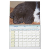 Little Newfie Girl Kalender (Feb 2027)