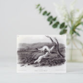 Little Nimble Weasel Briefkaart (Staand voorkant)