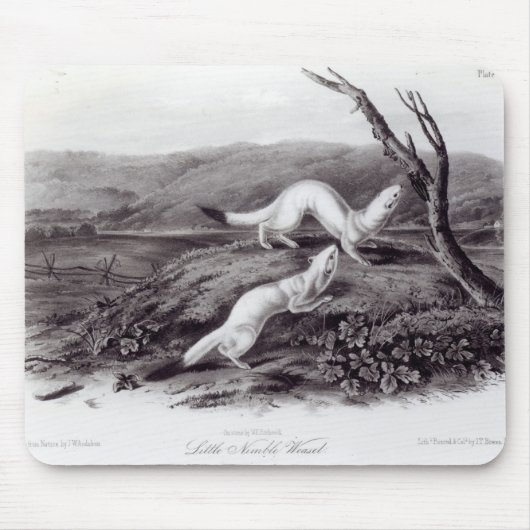 Little Nimble Weasel Muismat (Voorkant)