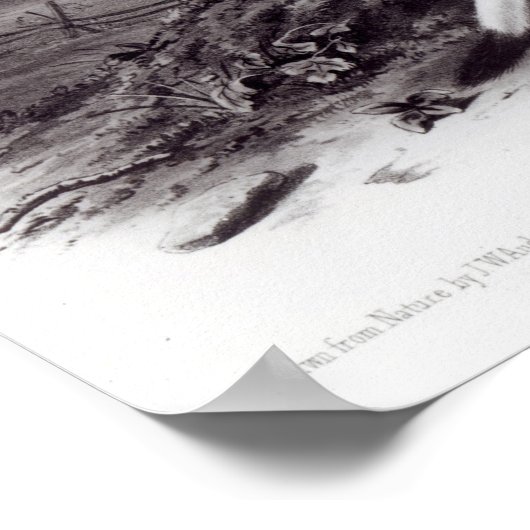 Little Nimble Weasel Poster (Hoek)