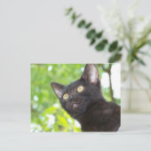 Little Nitt zoekend Briefkaart (Staand voorkant)