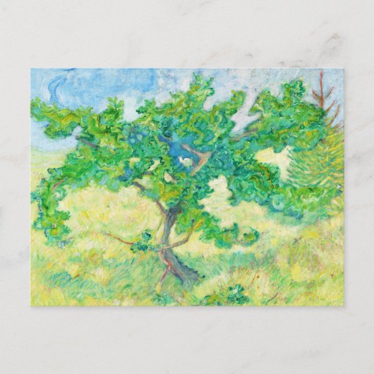 Little Oak Tree Franz Marc Briefkaart (Voorkant)
