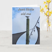 LITTLE OLD ME WENST LITTLE OLD YOU HAPPY BIRTHDAY KAART (Gele Bloem)