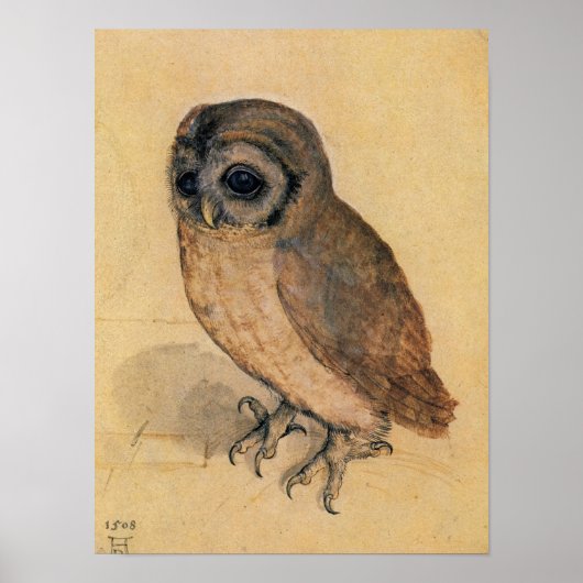 Little Owl, 1508 by Albrecht Durer Poster (Voorkant)
