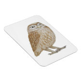 Little Owl 2011 Magneet (Rechterzijde)