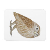 Little Owl 2011 Magneet (Horizontaal)