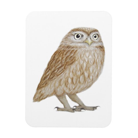 Little Owl 2011 Magneet (Verticaal)