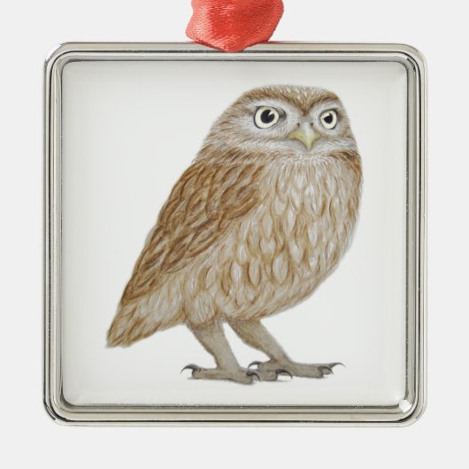 Little Owl 2011 Metalen Ornament (Voorkant)
