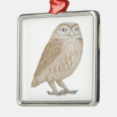 Little Owl 2011 Metalen Ornament (Links)