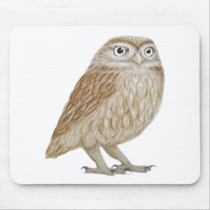 Little Owl 2011 Muismat