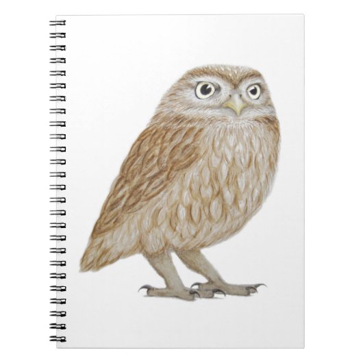 Little Owl 2011 Notitieboek (Voorkant)