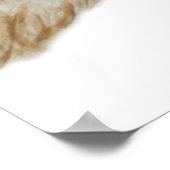 Little Owl 2011 Poster (Hoek)