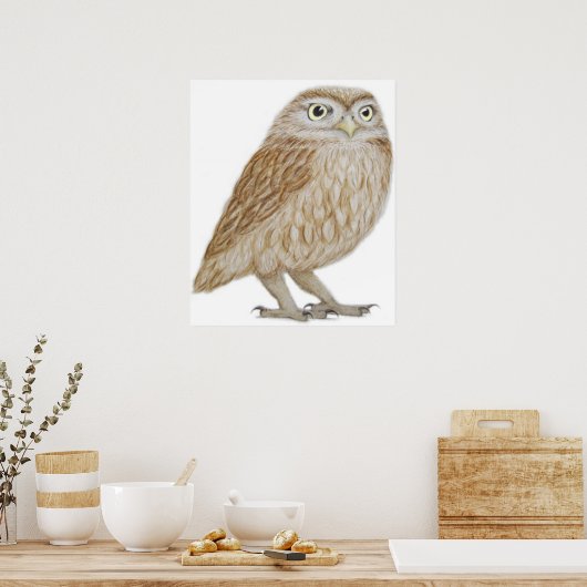 Little Owl 2011 Poster (Keuken)