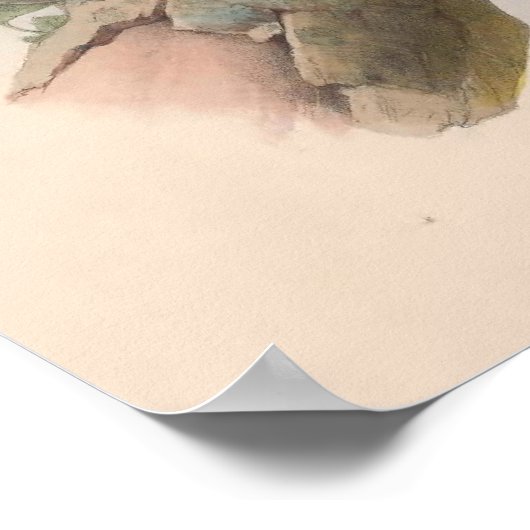  Little Owl Bird GC Poster (Hoek)