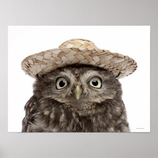 Little Owl die een strow pet draagt - Athene noctu Poster (Voorkant)