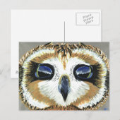 Little Owl Eyes briefkaart (Voorkant / Achterkant)