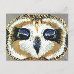 Little Owl Eyes briefkaart
