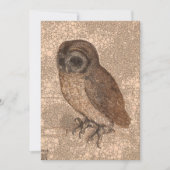 Little Owl, Infinity Stippen van After Albrecht Du Feestdagenkaart (Voorkant)
