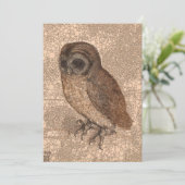 Little Owl, Infinity Stippen van After Albrecht Du Feestdagenkaart (Staand voorkant)