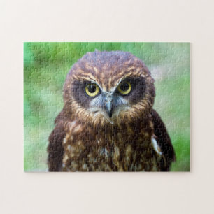 Little Owl Jigzaag Puzzle Legpuzzel
