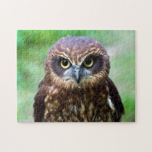 Little Owl Jigzaag Puzzle Legpuzzel (Horizontaal)