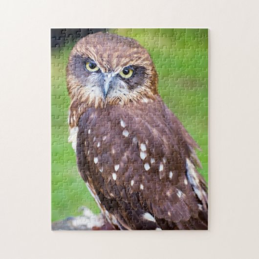 Little Owl Jigzaag puzzle Legpuzzel (Verticaal)