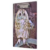 LITTLE OWL KLEMBORD (Links)