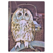 LITTLE OWL KLEMBORD (Achterkant)