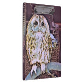 LITTLE OWL KLEMBORD (Rechts)