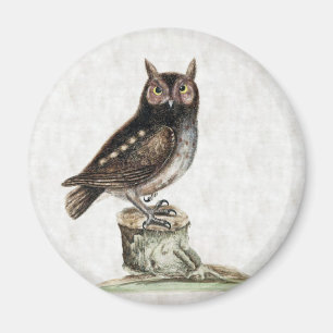 Little Owl Magneet