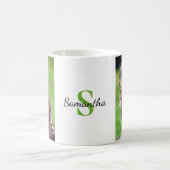 Little Owl Mok (Center)