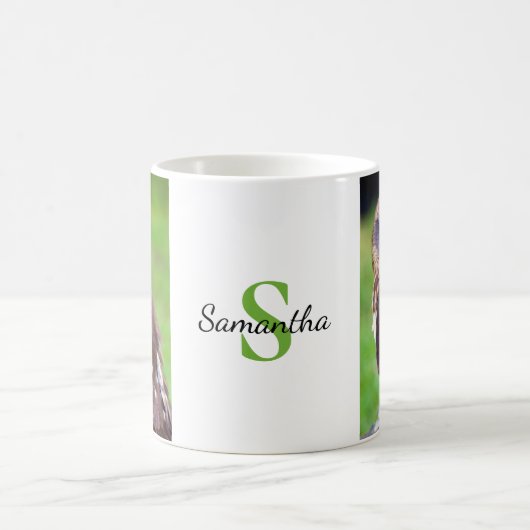 Little Owl Mok (Center)