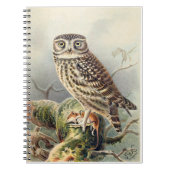 Little Owl Notitieboek (Voorkant)