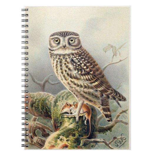 Little Owl Notitieboek (Voorkant)