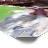 Little Owl Poster (Hoek)