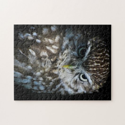 Little Owl Puzzle Legpuzzel (Horizontaal)