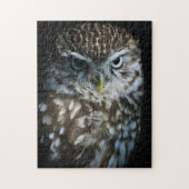 Little Owl Puzzle Legpuzzel (Verticaal)