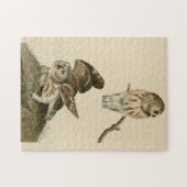 Little Owl (Saw-whet) Audubon's Birds of America Legpuzzel (Horizontaal)