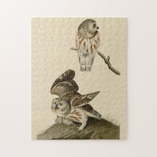 Little Owl (Saw-whet) Audubon's Birds of America Legpuzzel (Verticaal)
